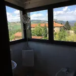 Drago Verde * Pian del Voglio